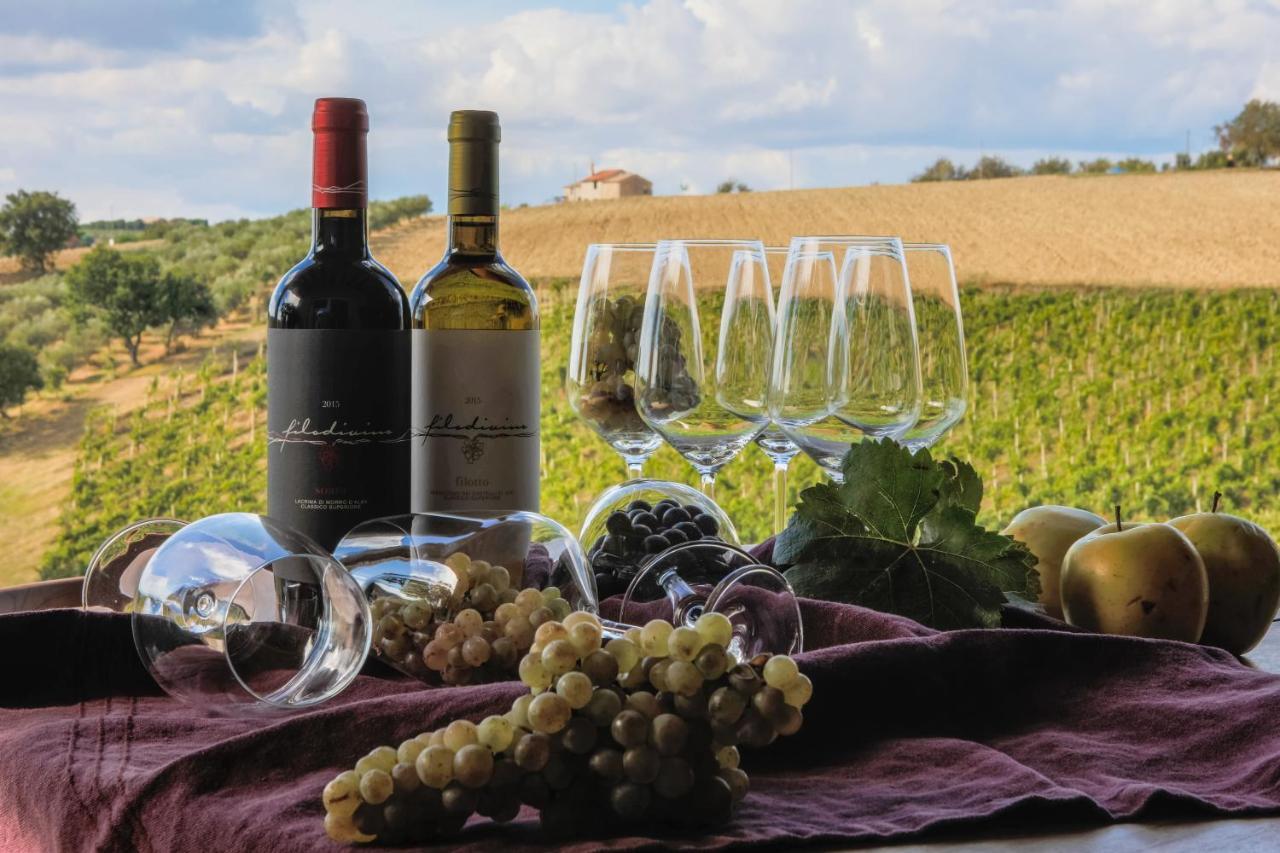 Filodivino Wine Resort & Spa San Marcello  Kültér fotó