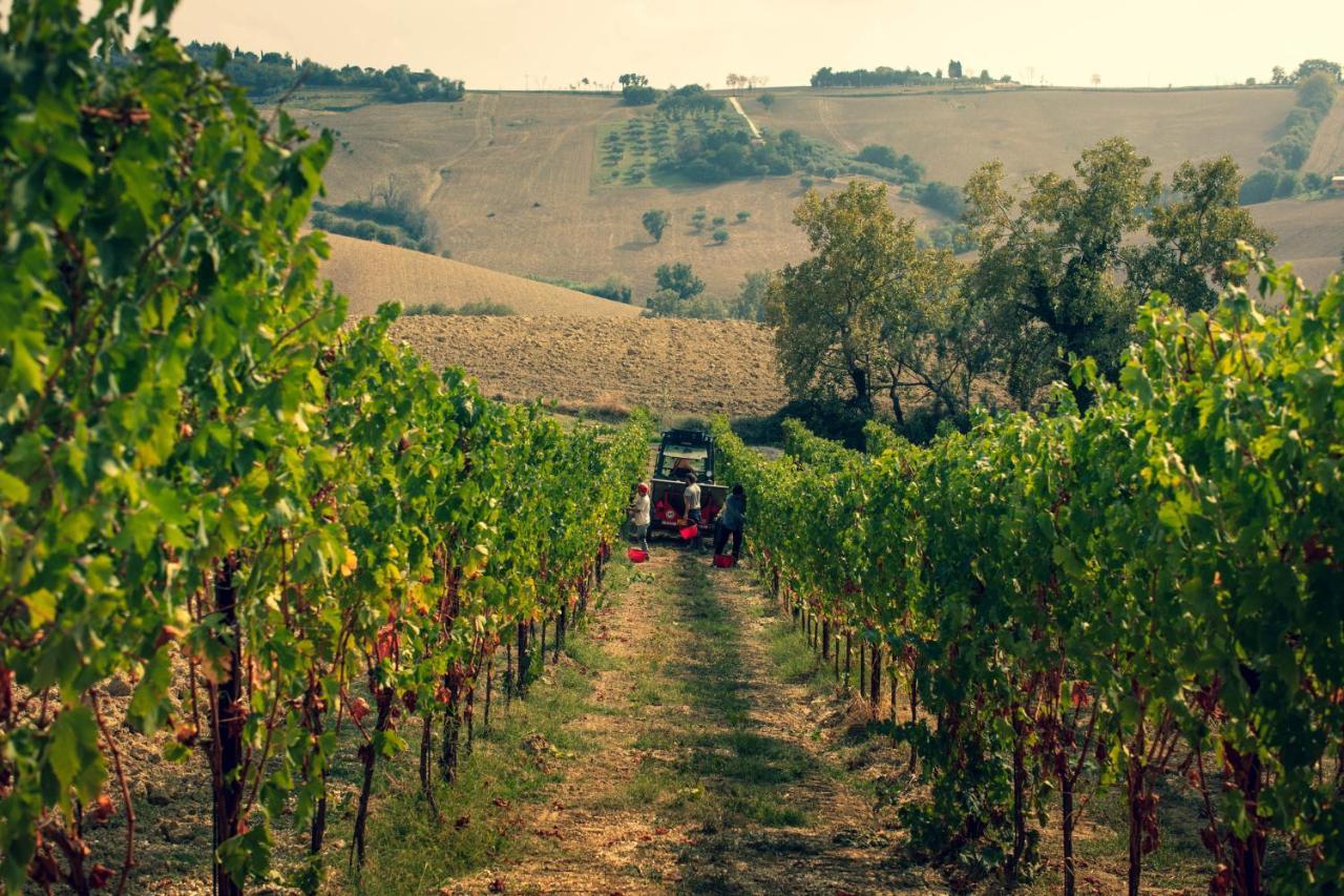 Filodivino Wine Resort & Spa San Marcello  Kültér fotó