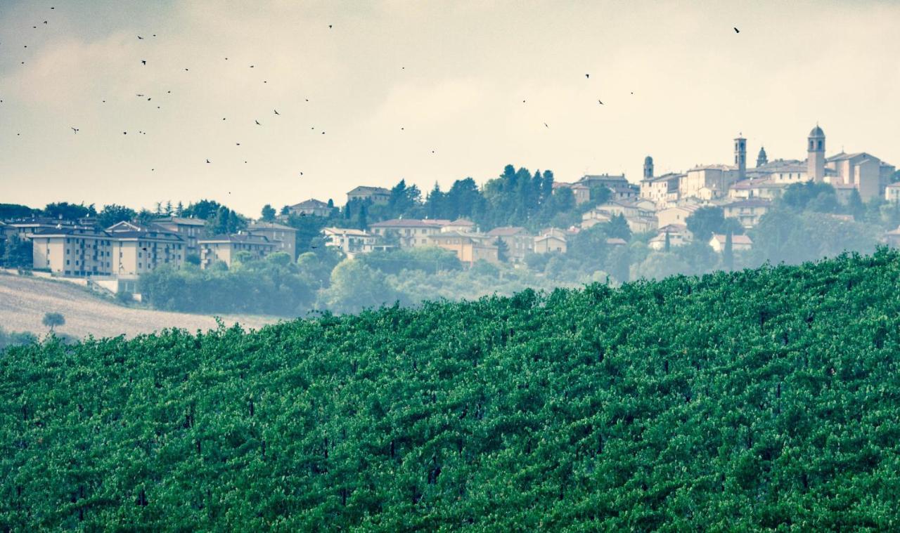 Filodivino Wine Resort & Spa San Marcello  Kültér fotó